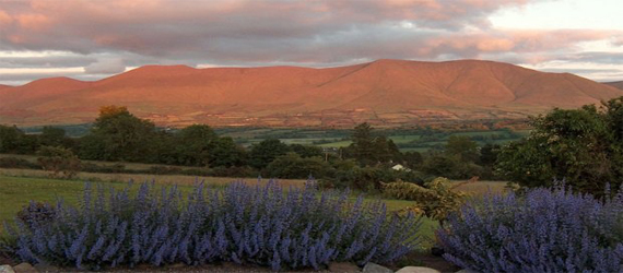 San Giovanni bed and breakfast image of a Glen of Aherlow