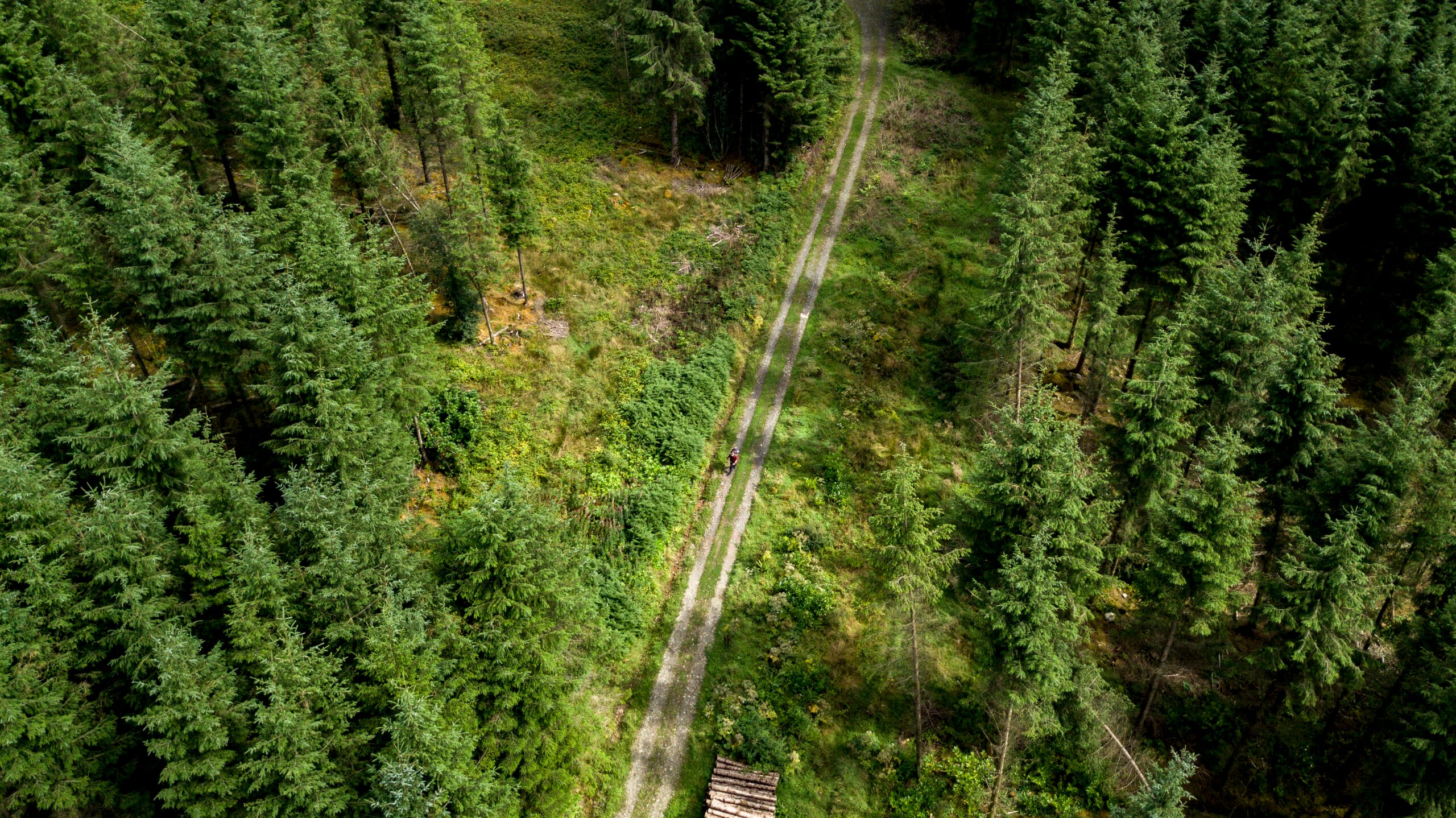 51022116913_a723e0a76b_o