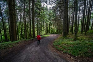 The Slieve Felim Way