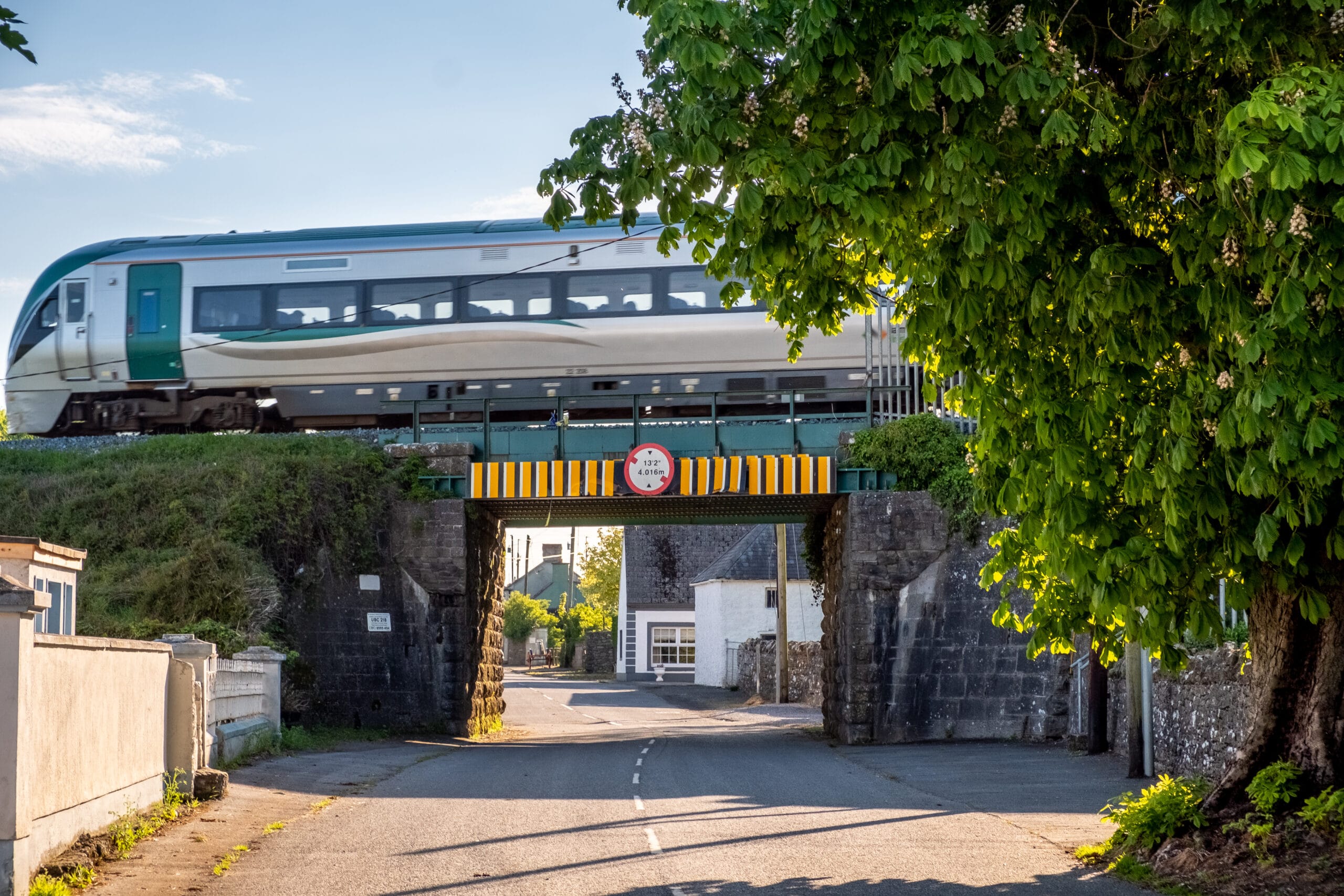 51234891087_20dba44004_o