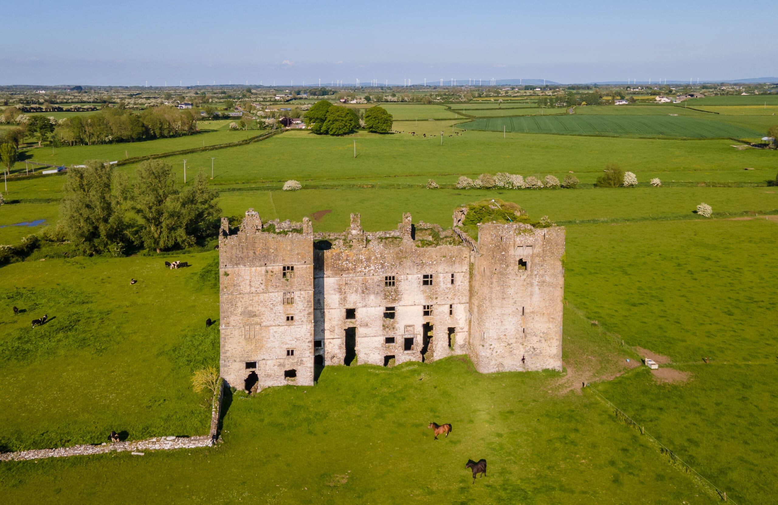 51236374224_5118145a23_o