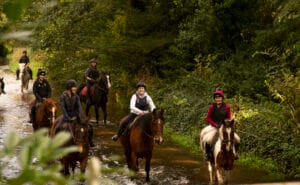 Crossogue Equestrian Centre