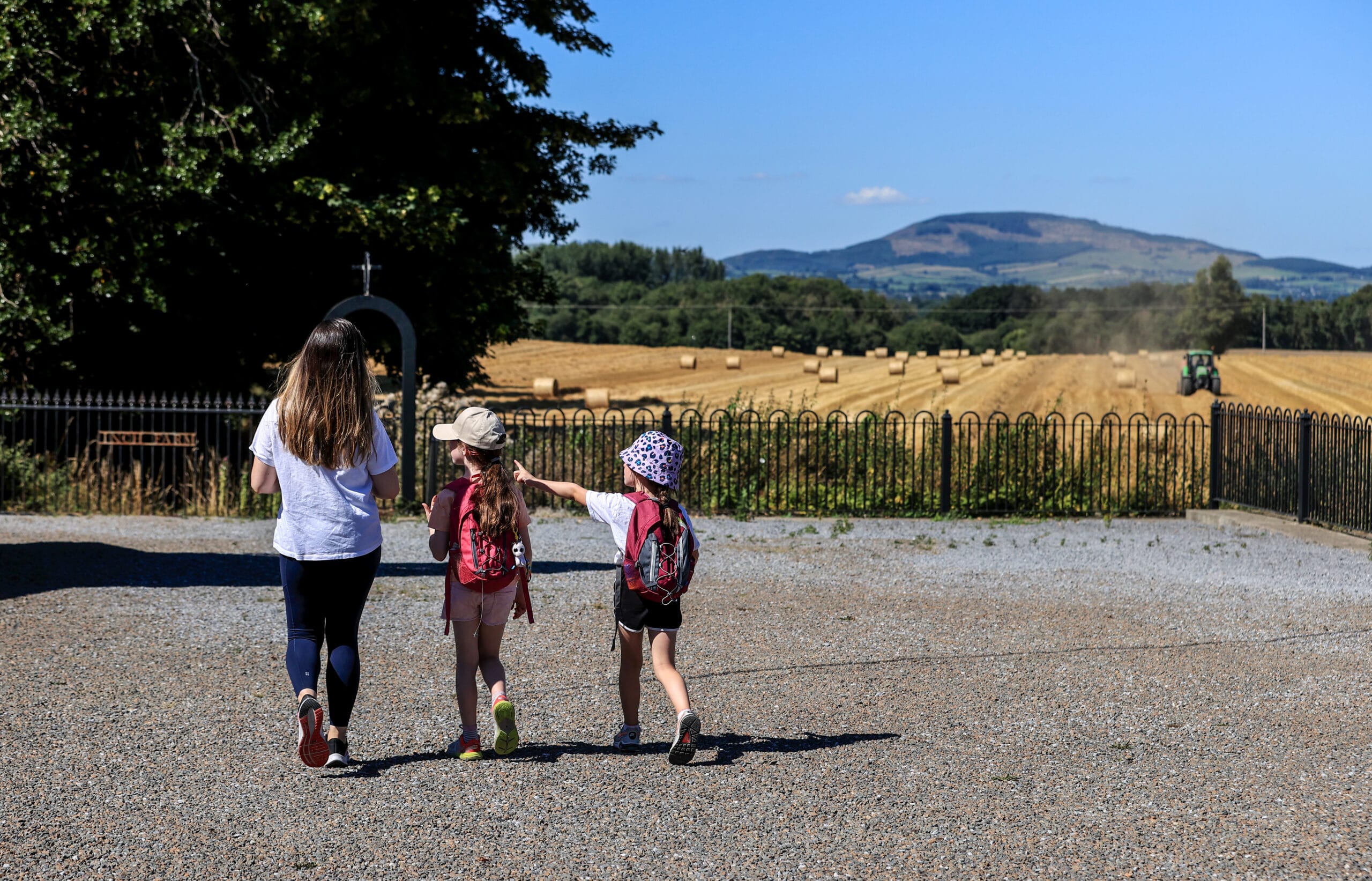 52302695182_0c6028edf2_o