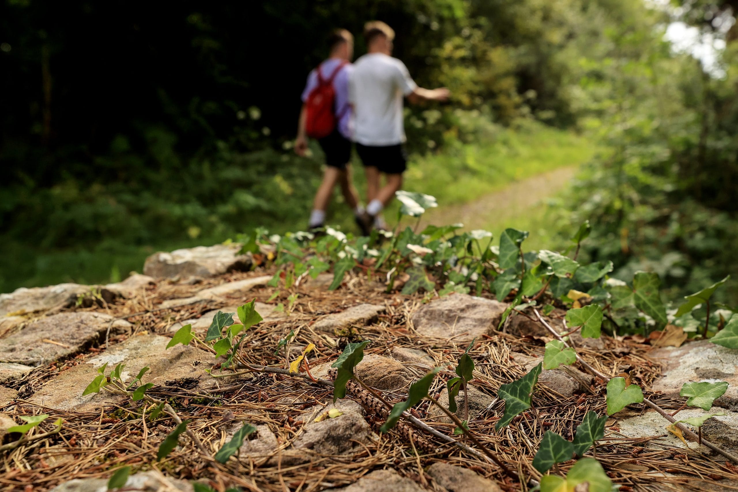 Two walkers on the Glen of Aherlow trail in tipperary - courtesy of Failte Ireland