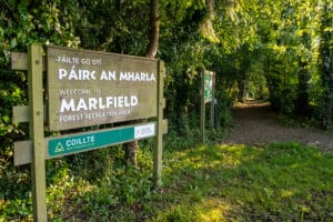 Marlfield Forest