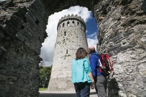 Nenagh Castle